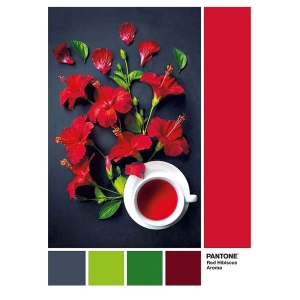 Пъзел, Clementoni, Pantone Red Hibiscu, 1000 части